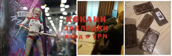шишки Алексин