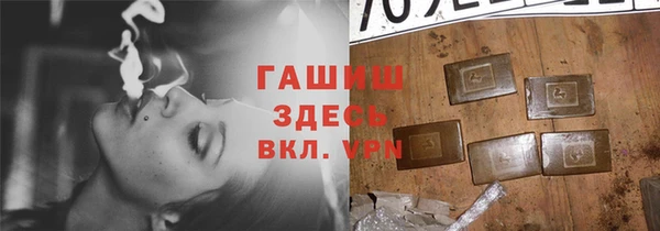 apvp Алзамай