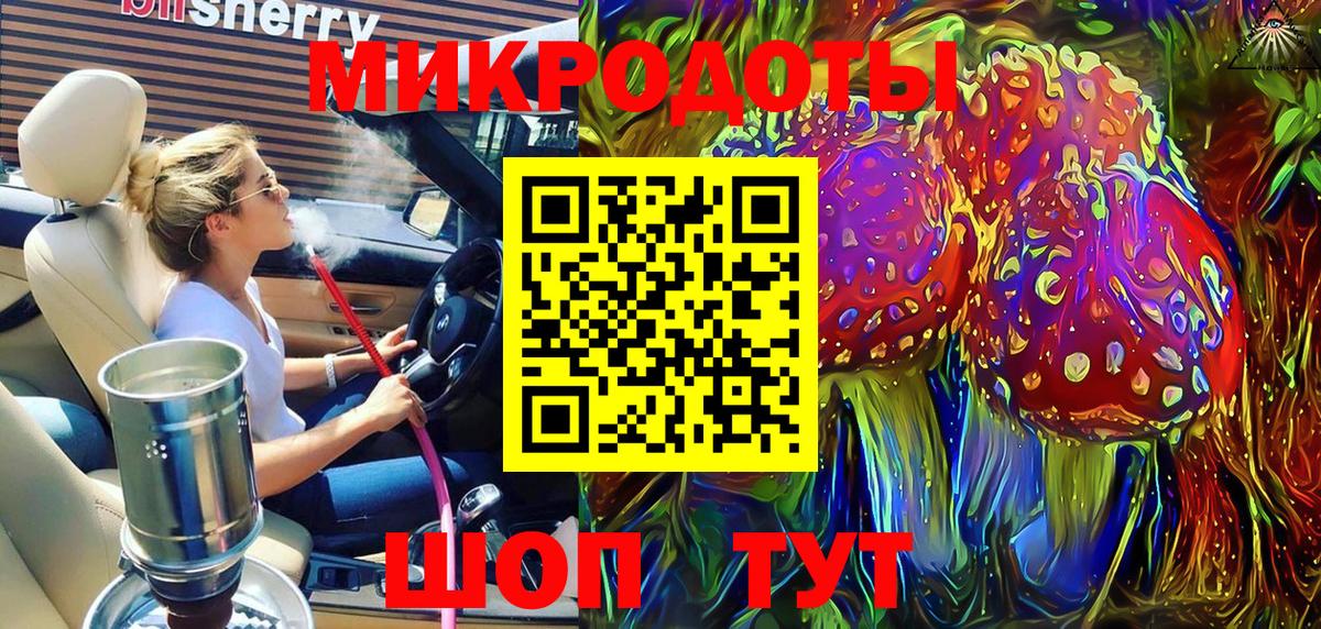 Галлюциногенные грибы Psilocybe Старая Русса