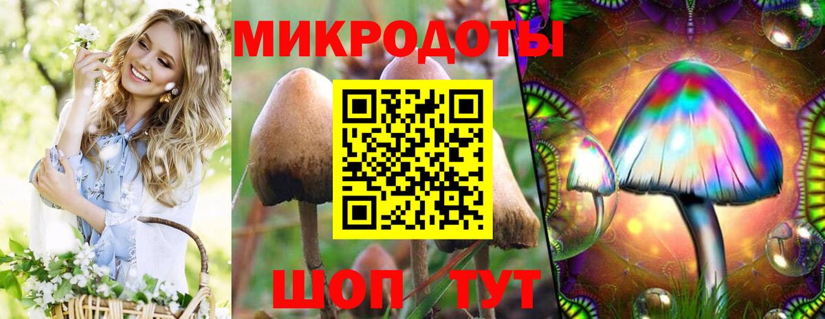 Галлюциногенные грибы прущие грибы  Вход с VPN  Старая Русса  Псилоцибиновые грибы Cubensis 